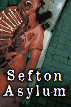Sefton Asylum